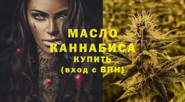 твердый Козельск
