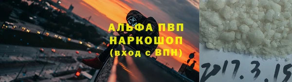 твердый Козельск