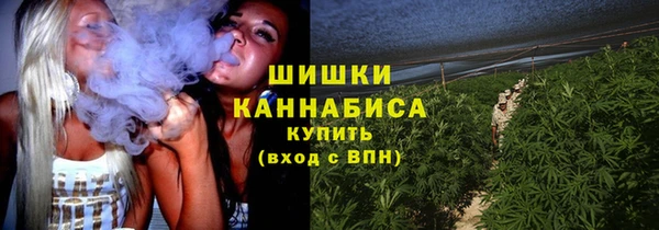 твердый Козельск