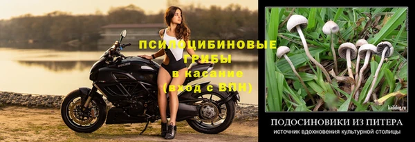 бутират Кодинск