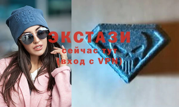 твердый Козельск