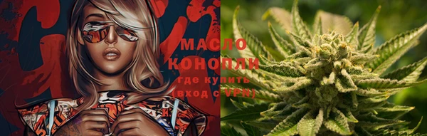 твердый Козельск