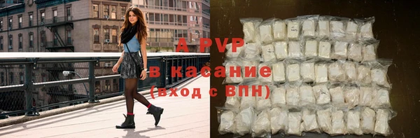 твердый Козельск